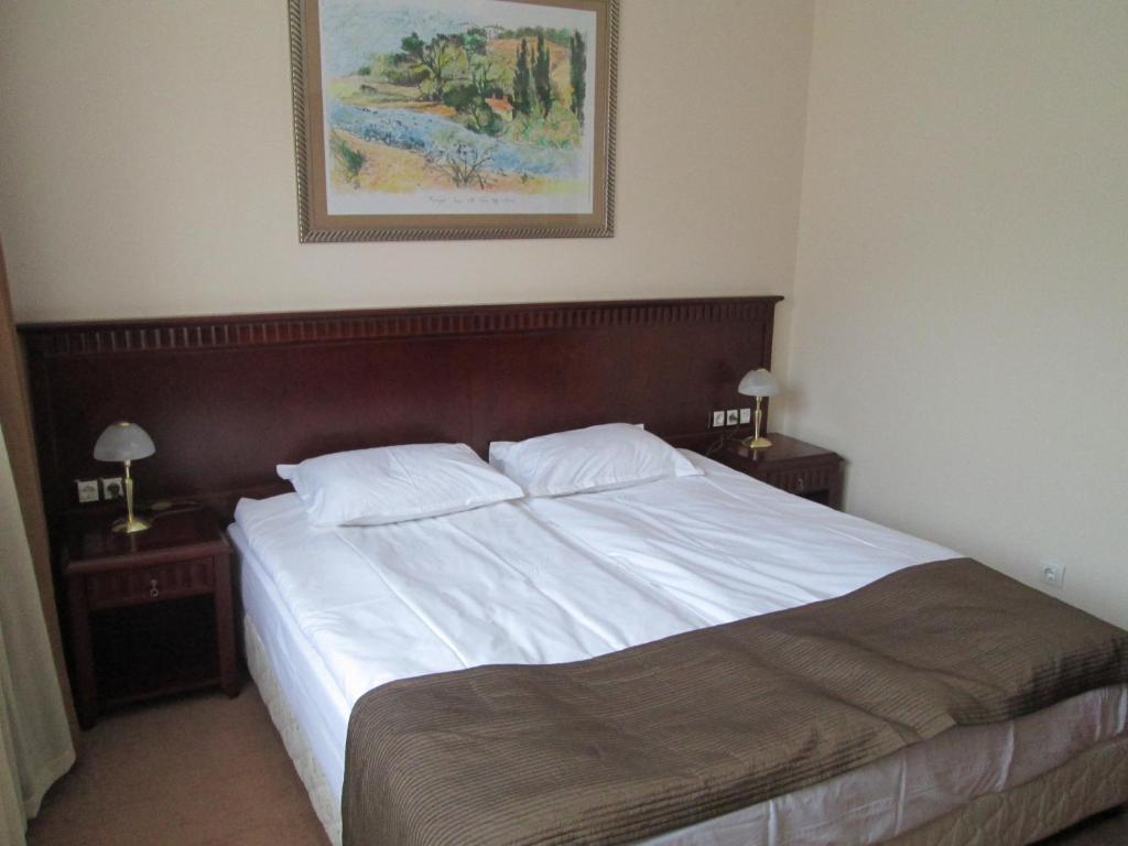 Downtown Alexander Services Apartments Банско Номер фото