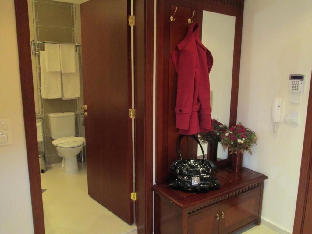 Downtown Alexander Services Apartments Банско Номер фото
