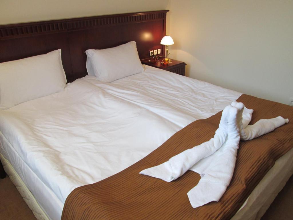 Downtown Alexander Services Apartments Банско Номер фото